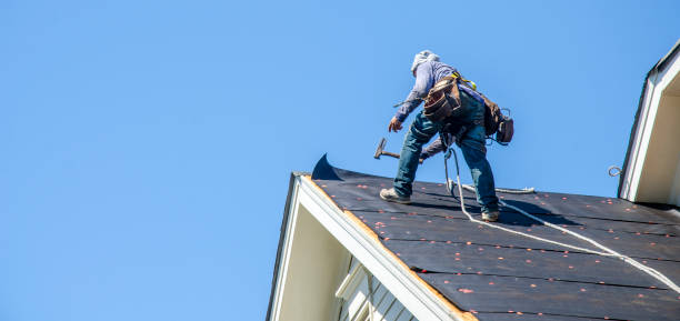 Best Roof Gutter Cleaning  in Garden City, SC
